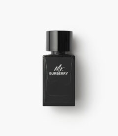 Mr. Burberry - Eau de Parfum homme